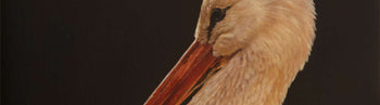 Image shows a small cropped section of a larger wildlife painting by Robert Cook