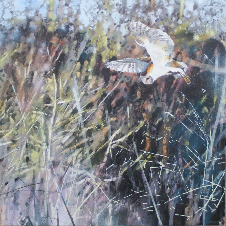 Barn Owl, The Hunt by James Fotheringhame | Original painting for sale at The Biscuit Factory 