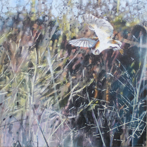 You added <b><u>Barn Owl, The Hunt</u></b> to your cart.