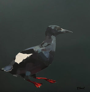 You added <b><u>Black Guillemot</u></b> to your cart.