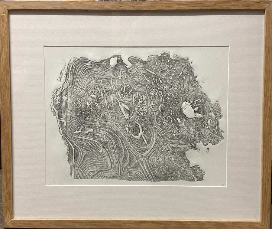 Burr Elm by Shona Branigan, a limited edition print of a tree trunk ring, by artist Shona Branigan who printed the felled Sycamore Gap trunk rings. 