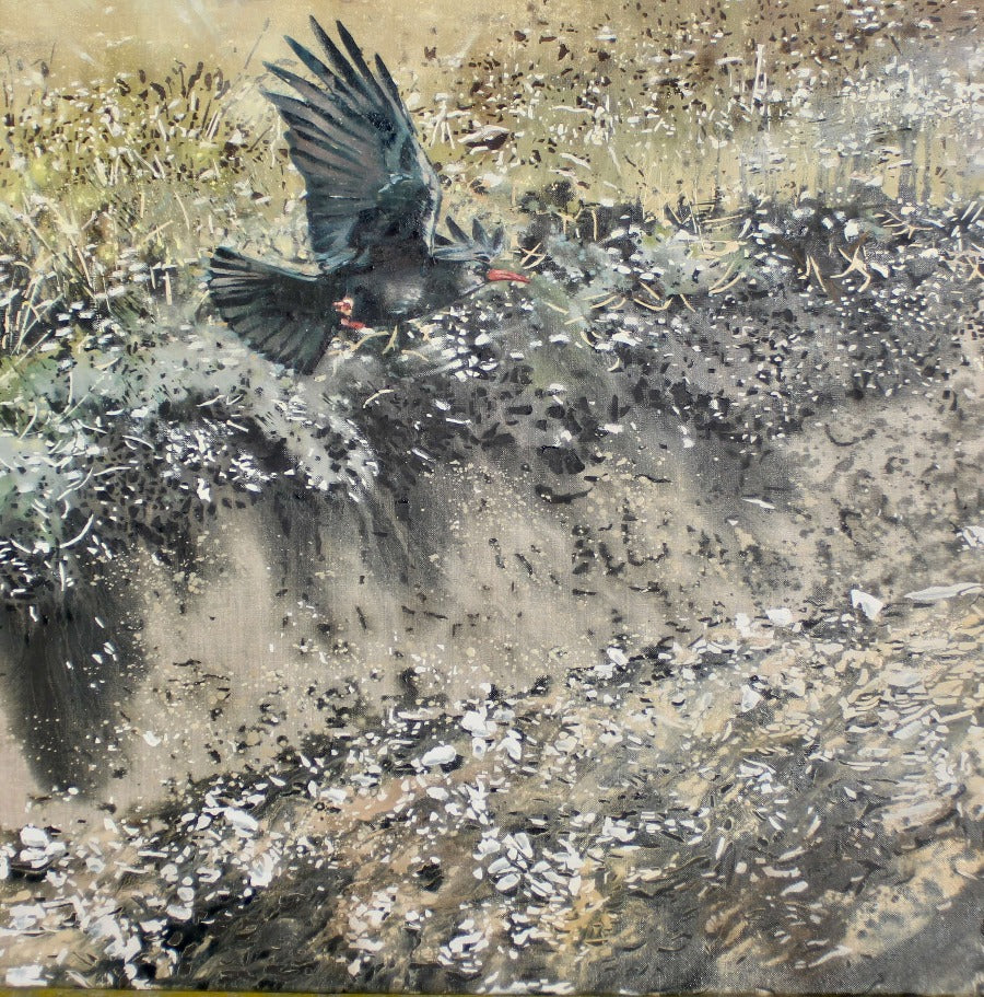 Chough by James Fotheringhame | Contemporary Nature painting for sale at The Biscuit Factory Newcastle 