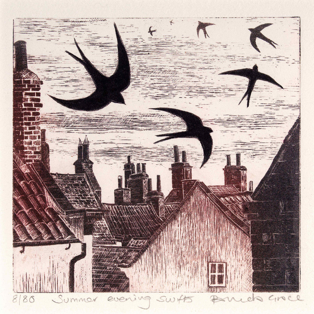 Evening Swifts