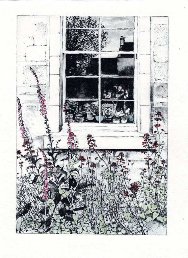 Foxgloves & Valerian by Pamela Grace | Etching prints available of for sale at The Biscuit Factory Newcastle 