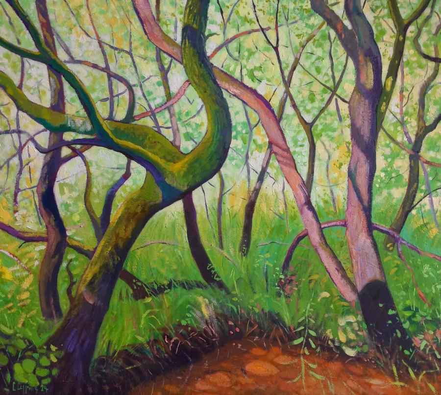 Mossy Brook by Chris Cyprus | Contemporary Landscape painting for sale at The Biscuit Factory Newcastle 