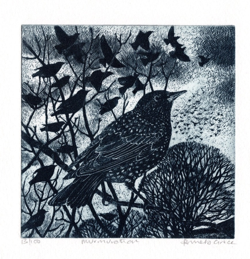 Murmuration by Pamela Grace | Contemporary Etching for sale at The Biscuit Factory