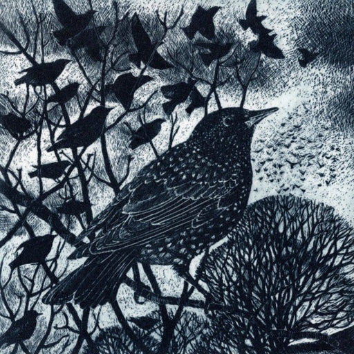 Murmuration by Pamela Grace | Contemporary Etching for sale at The Biscuit Factory