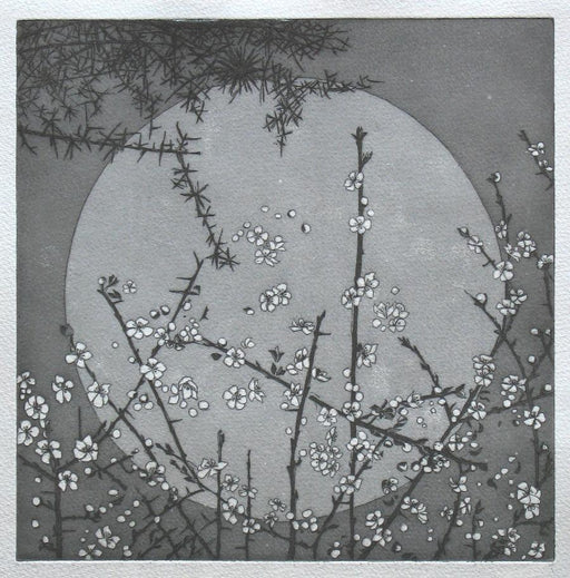 Night Garden II Silver by Sally Spens | Contemporary Etching print for sale at The Biscuit Factory 