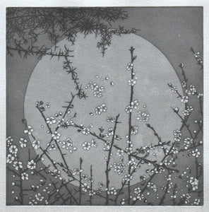 You added <b><u>Night Garden II - Silver</u></b> to your cart.