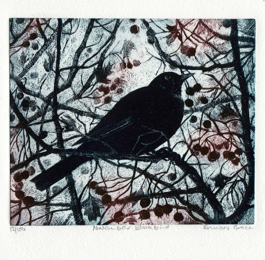 November Blackbird by Pamela Grace | Limited Edition Print for sale at The Biscuit Factory Newcastle 