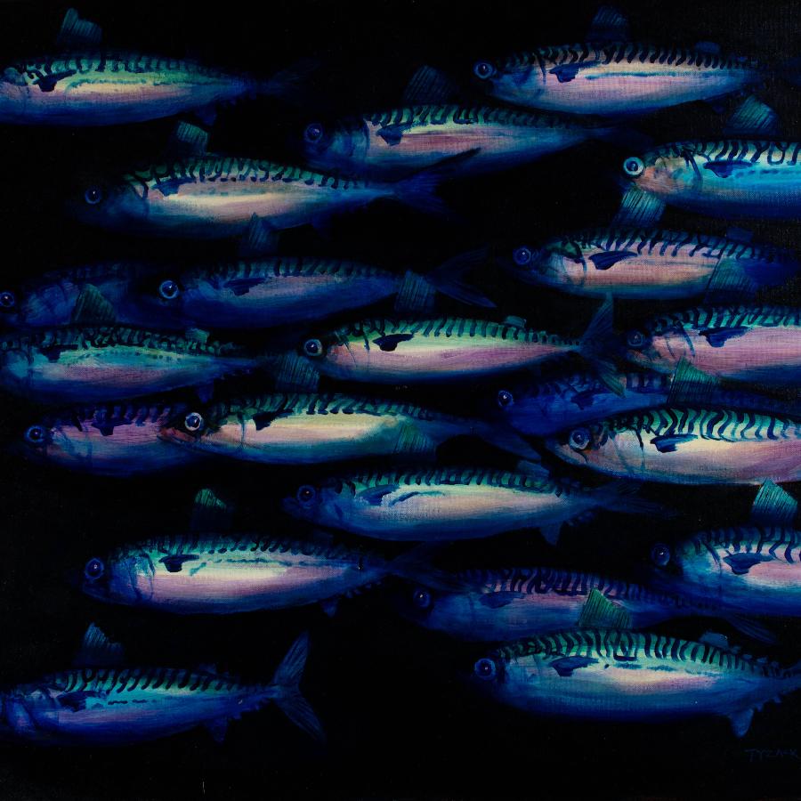 Pelagic by Andrew Tyzack | Original Oil painting of a shoal of fish by Andrew Tyzack for sale at The Biscuit Factory 