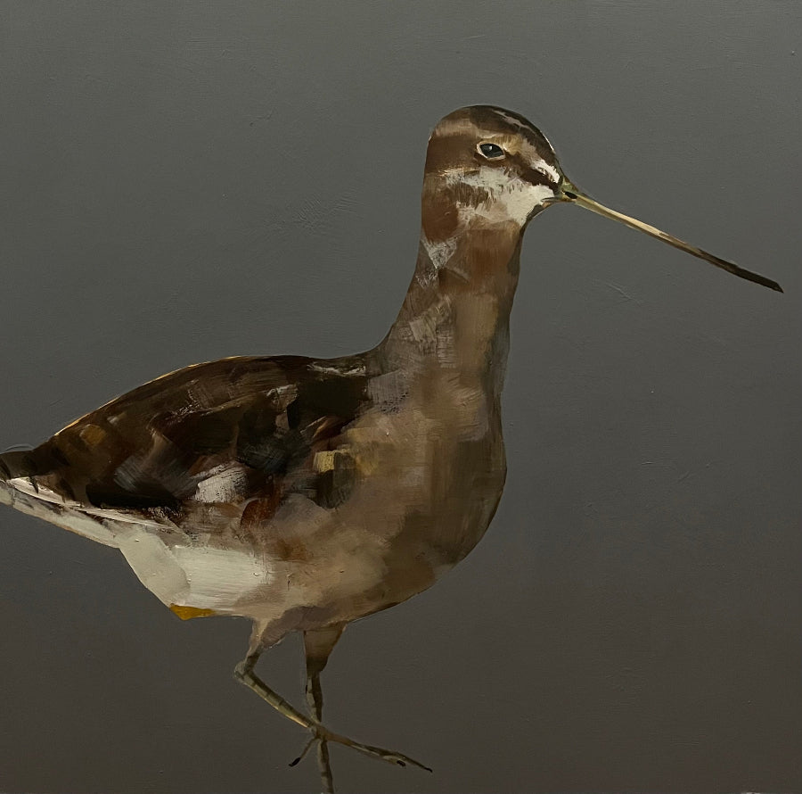 Snipe by Fiona Sturrock | Contemporary Painting for sale at The Biscuit Factory Newcastle 