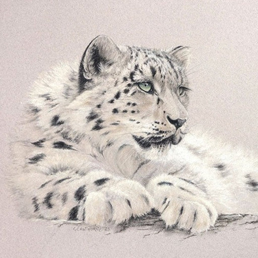 Snow Leopard by Gillie Cawthorne | Contemporary Painting for sale at The Biscuit Factory Newcastle 