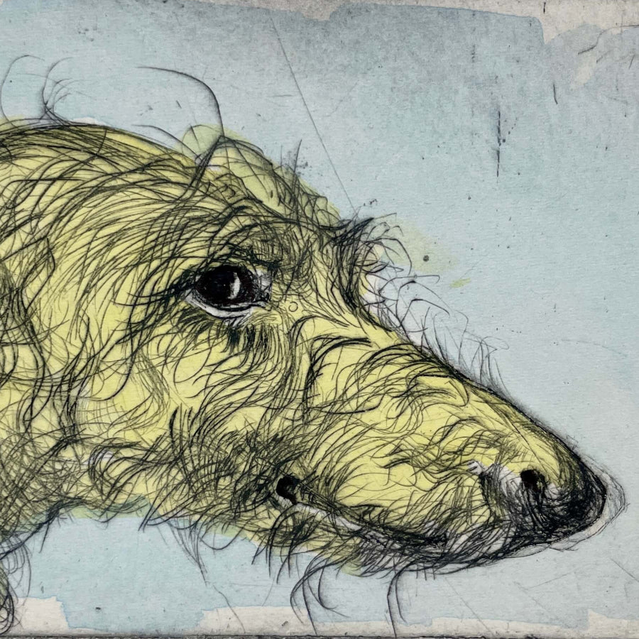 The Hound Albert by Mike Moor | Contemporary Print for sale at The Biscuit Factory Newcastle 