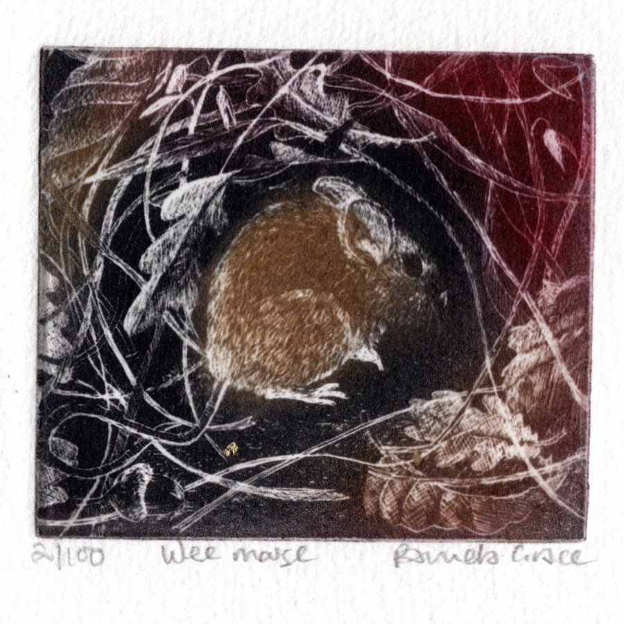 Wee Mouse by Pamela Grace | Contemporary etching print for sale at The Biscuit Factory Newcastle 