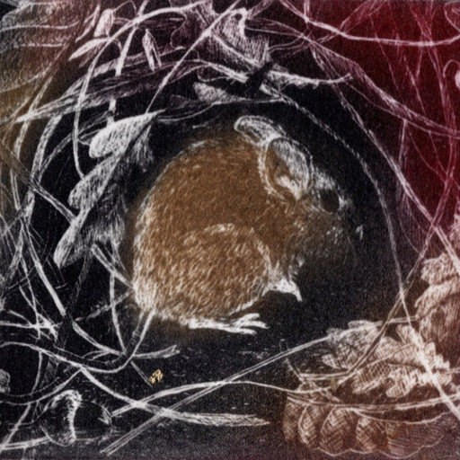 Wee Mouse by Pamela Grace | Contemporary etching print for sale at The Biscuit Factory Newcastle