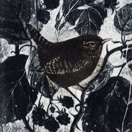 Autumn Wren by Pamela Grace | Limited edition print for sale at The Biscuit Factory Newcastle 