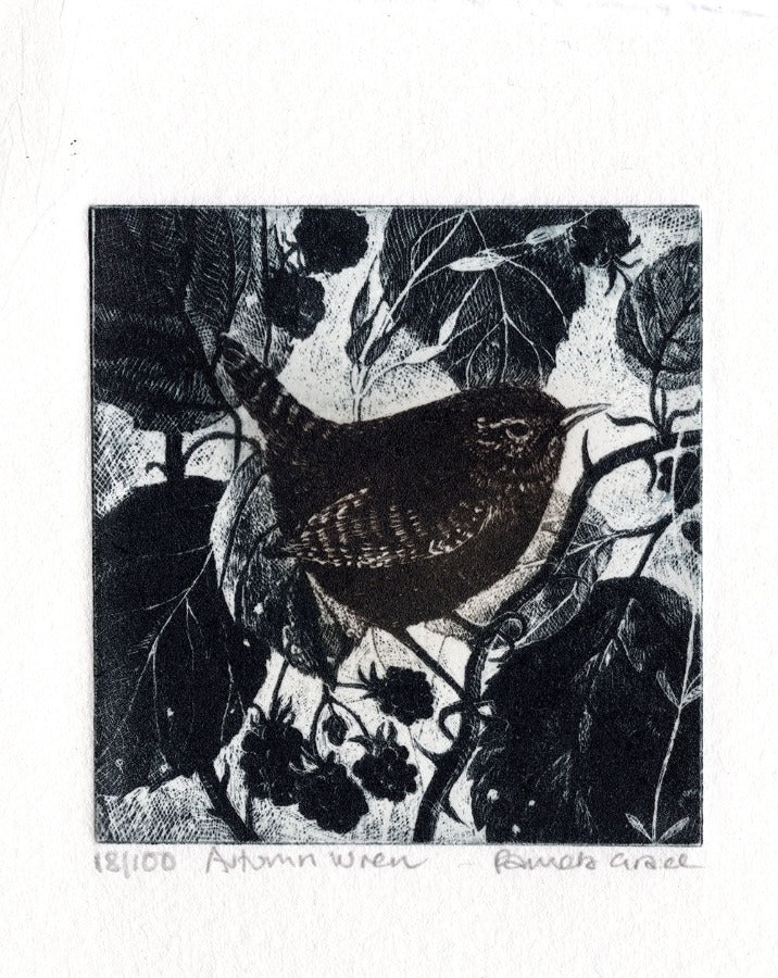 Autumn Wren by Pamela Grace | Contemporary Print for sale at The Biscuit Factory Newcastle 