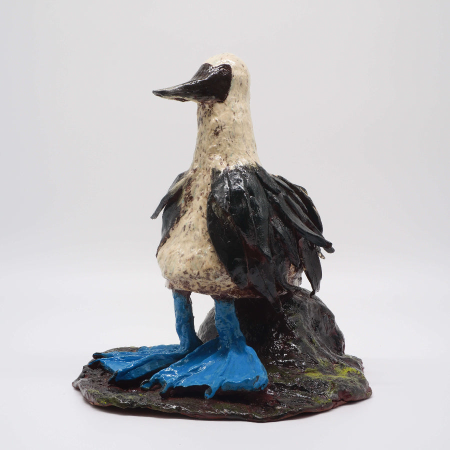 Blue Footed Booby by Maria Laffey | Contemporary Ceramics for sale at The Biscuit Factory Newcastle 