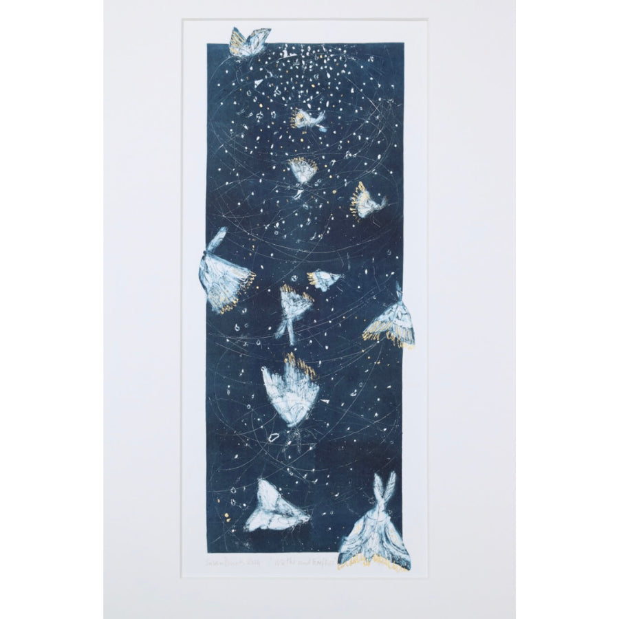 Moths and Fireflies by Susan Davies | Contemporary Prints for sale at The Biscuit Factory Newcastle 