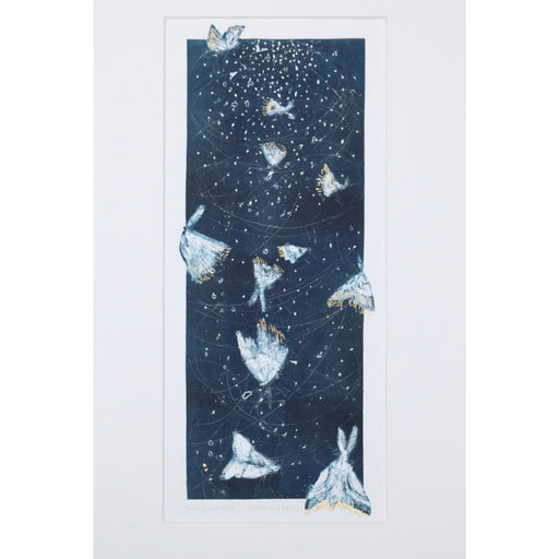 Moths and Fireflies by Susan Davies | Contemporary Prints for sale at The Biscuit Factory Newcastle 