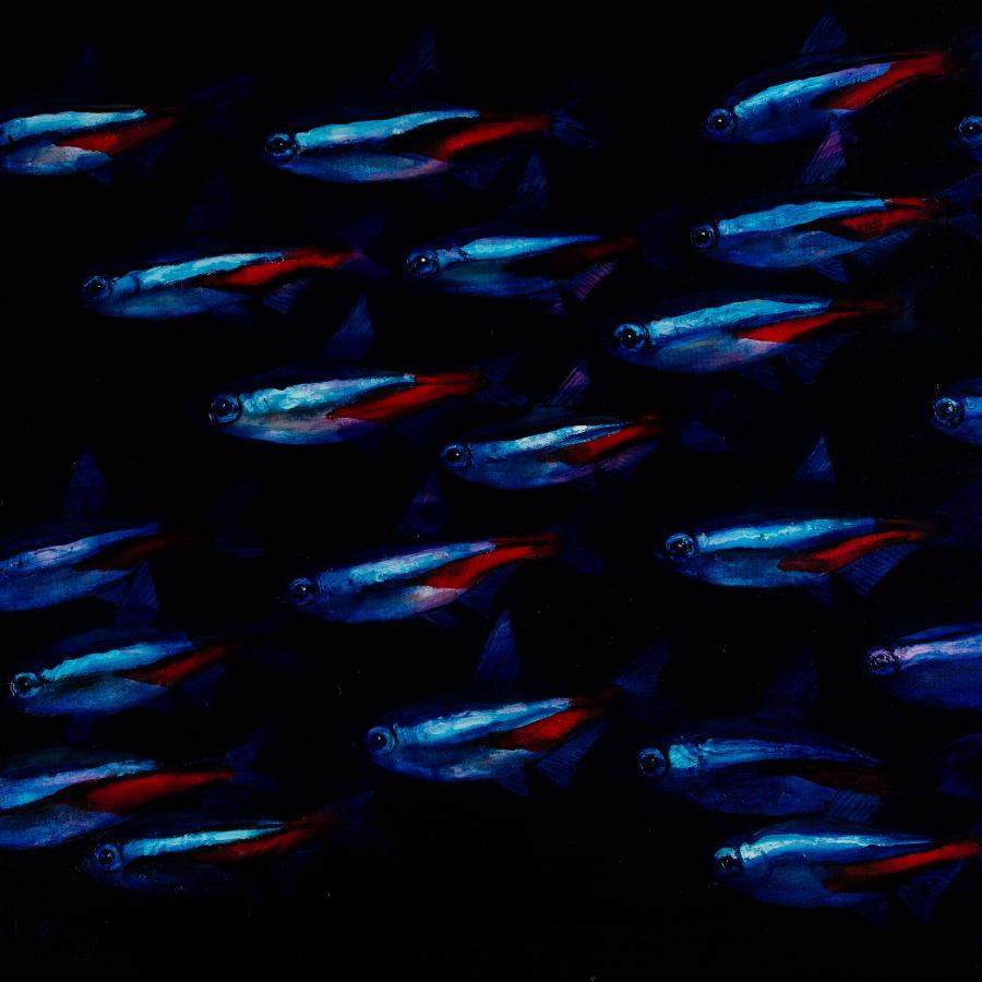 Neon Tetra Shoal by Andrew Tyzack | Original Oil painting for sale at The Biscuit Factory Newcastle 