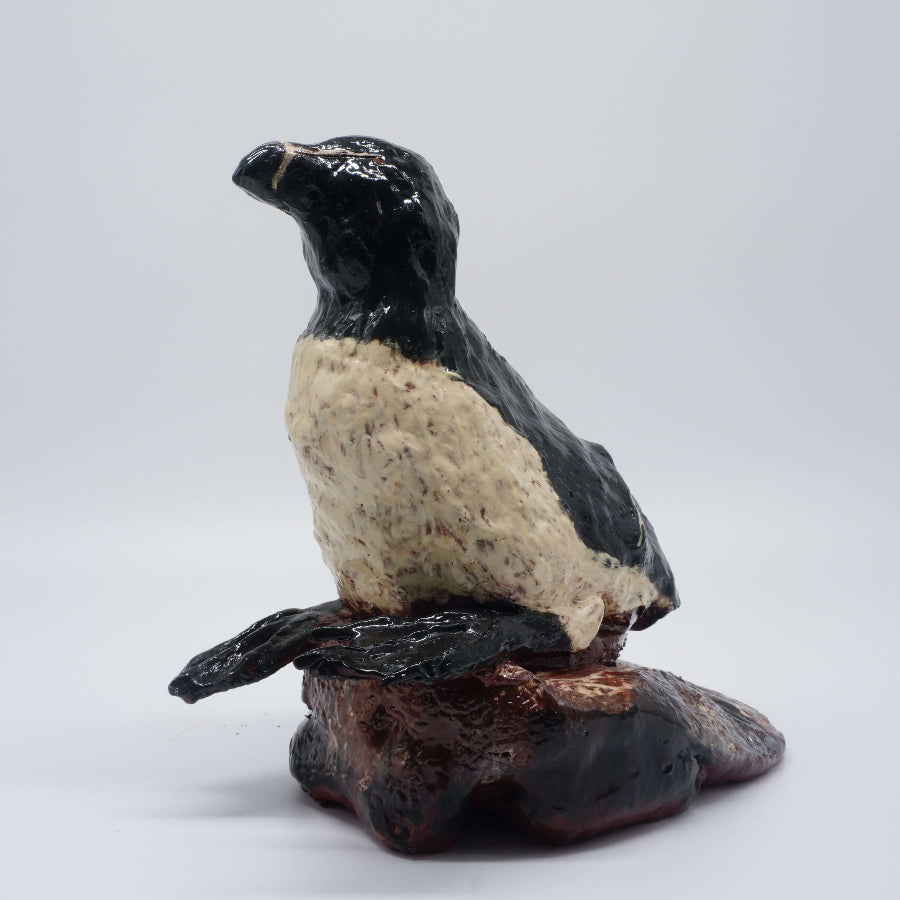 Razorbill by Maria Laffey | Contemporary Sculpture for sale at The Biscuit Factory Newcastle 