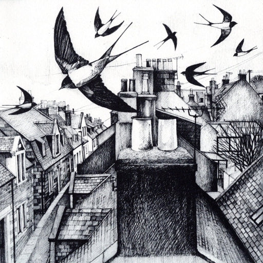 Skylight Swallows by Pamela Grace | Limited edition Etching Prints for sale at The Biscuit Factory Newcastle 