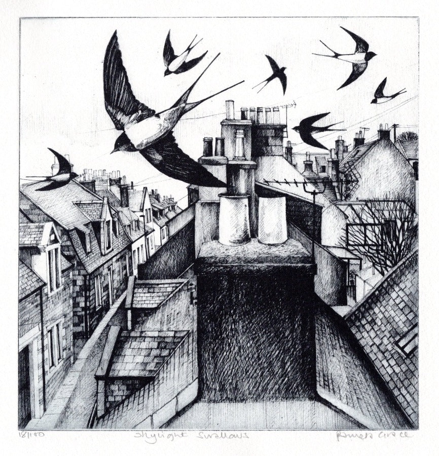 Skylight Swallows by Pamela Grace | Contemporary etching print for sale at The Biscuit Factory Newcastle 