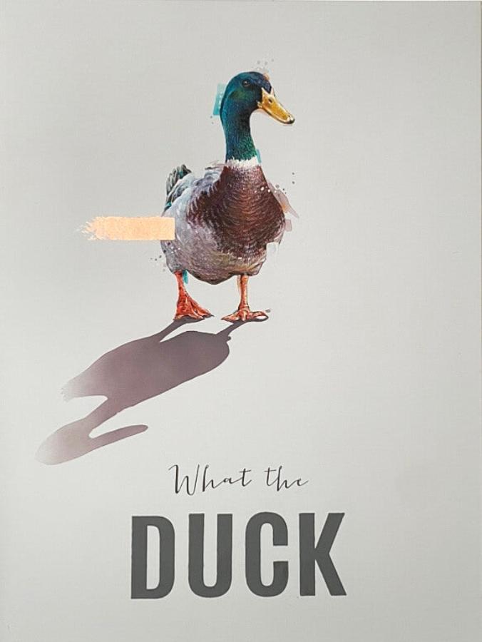 What the Duck? by Darren Dearden | Contemporary Animal Art for sale at The Biscuit Factory Newcastle 