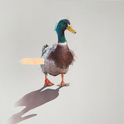 What the Duck? by Darren Dearden | Contemporary Animal Art for sale at The Biscuit Factory Newcastle 