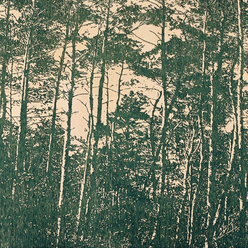 An etching print of a forest by artist Trevor Price, for sale at The Biscuit Factory Newcastle
