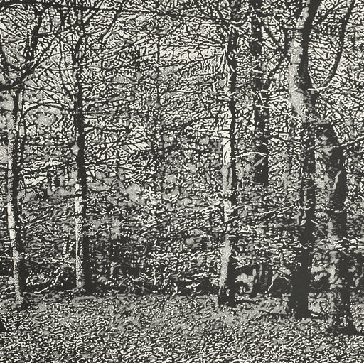 Buy 'Woodland II', an original mixed media artwork by Trevor Price. Image shows a square black and white print of a dense forest scene